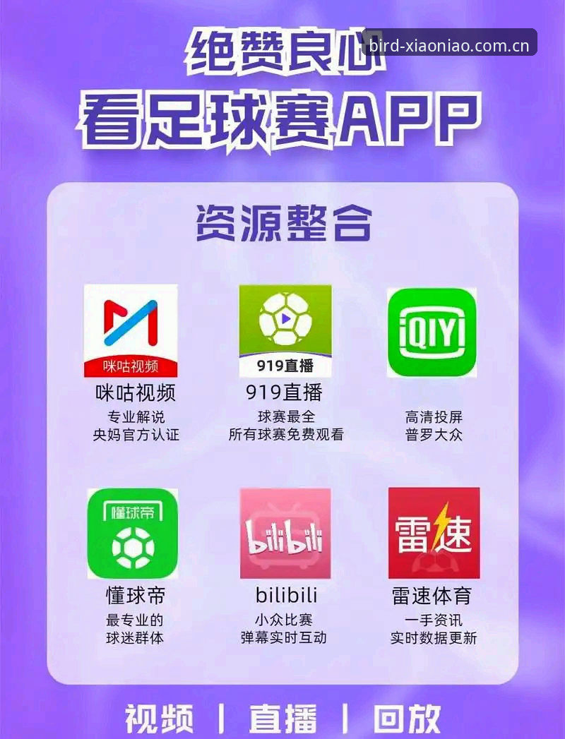小鸟体育官网 vs 最新小鸟体育app官方版：哪个才是体育互动体验的终极选择？