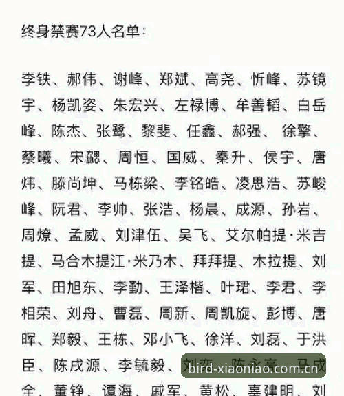 小鸟体育怎么下载 足协第三批禁足名单深度解读教程——从处罚细节看中国足球反腐行动